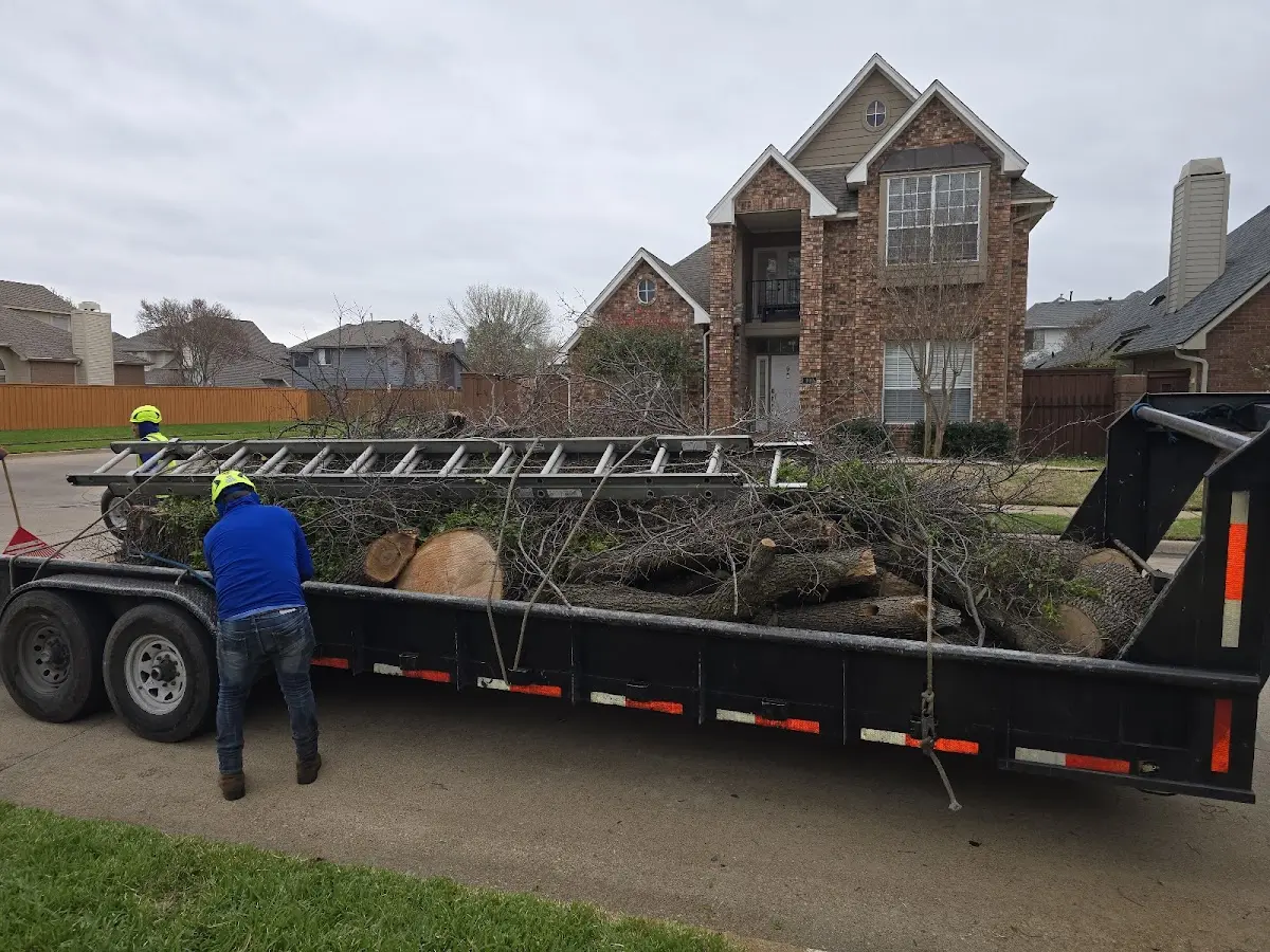 Expert Tree Fertilization with proper safety equipment in Mcbrides